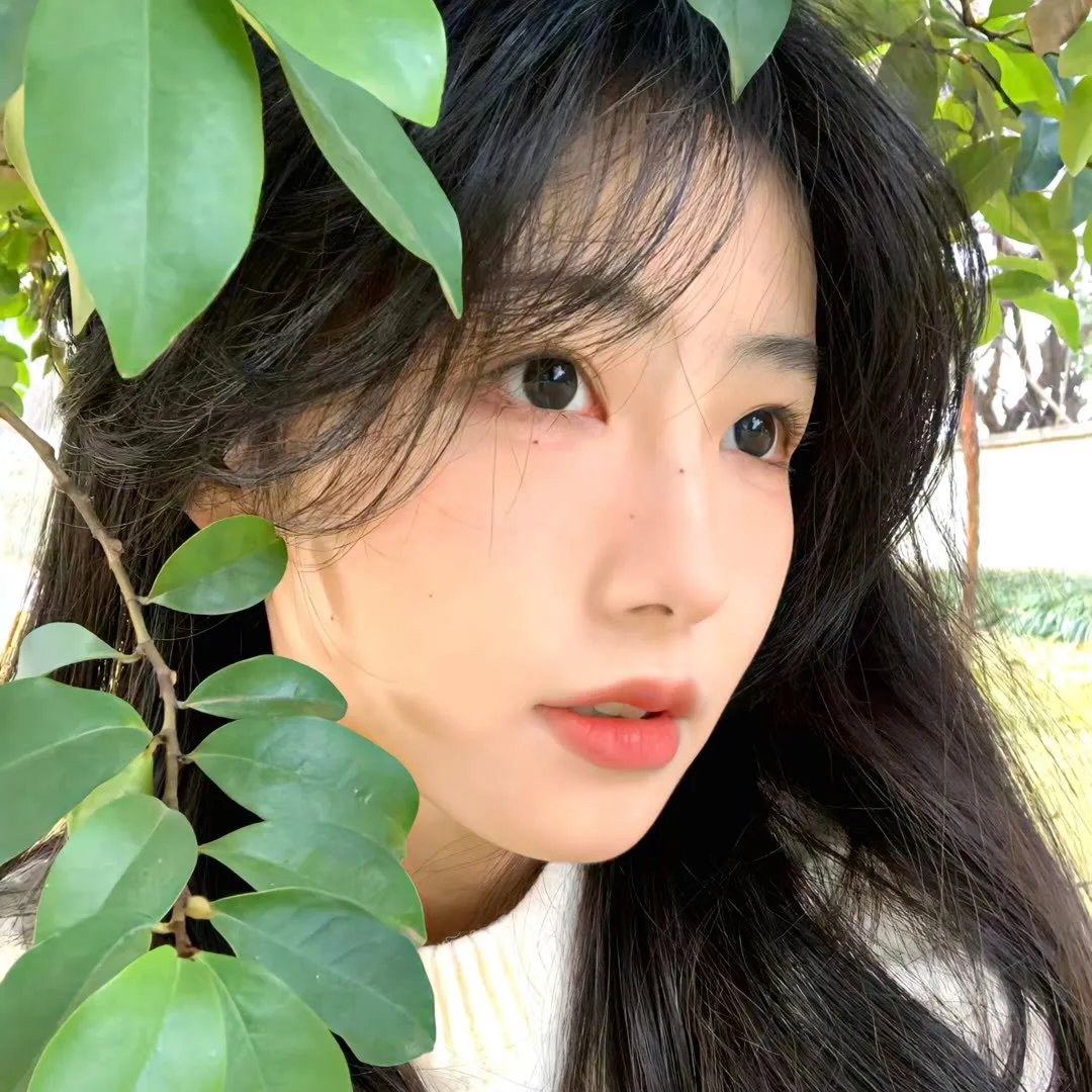 美国派:高潮再起